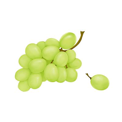 蔬菜肉禽配送為農產品提供